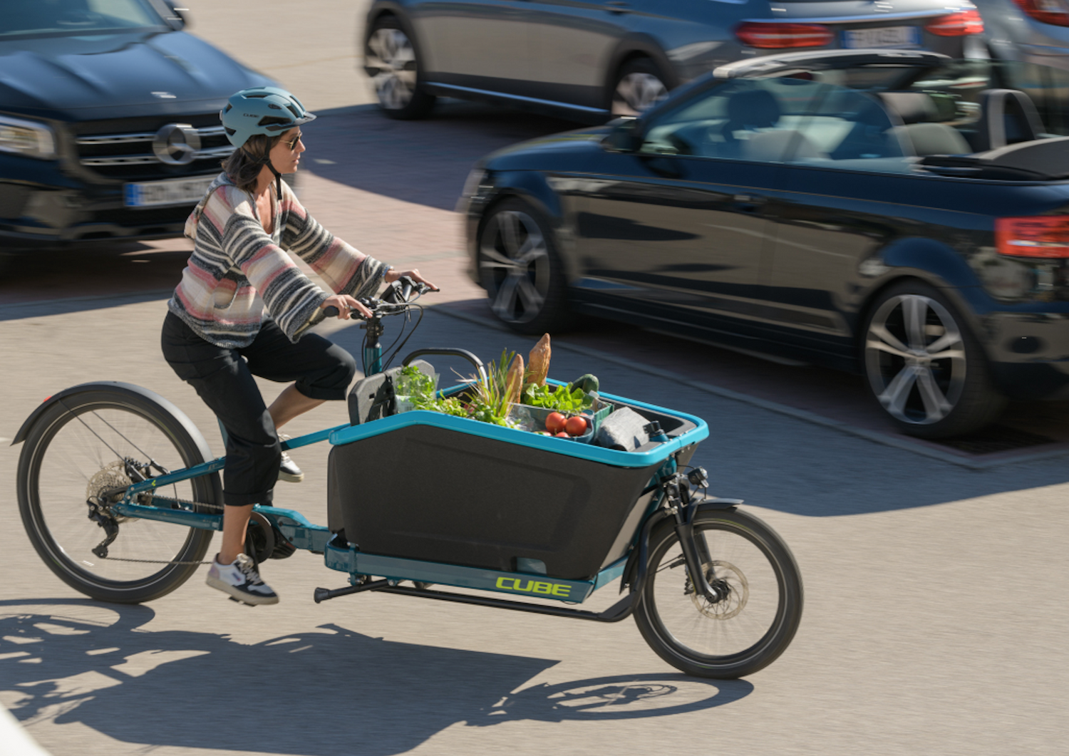 Ebikes Cargo