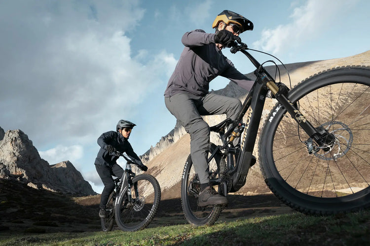 Eléctricas eBikes