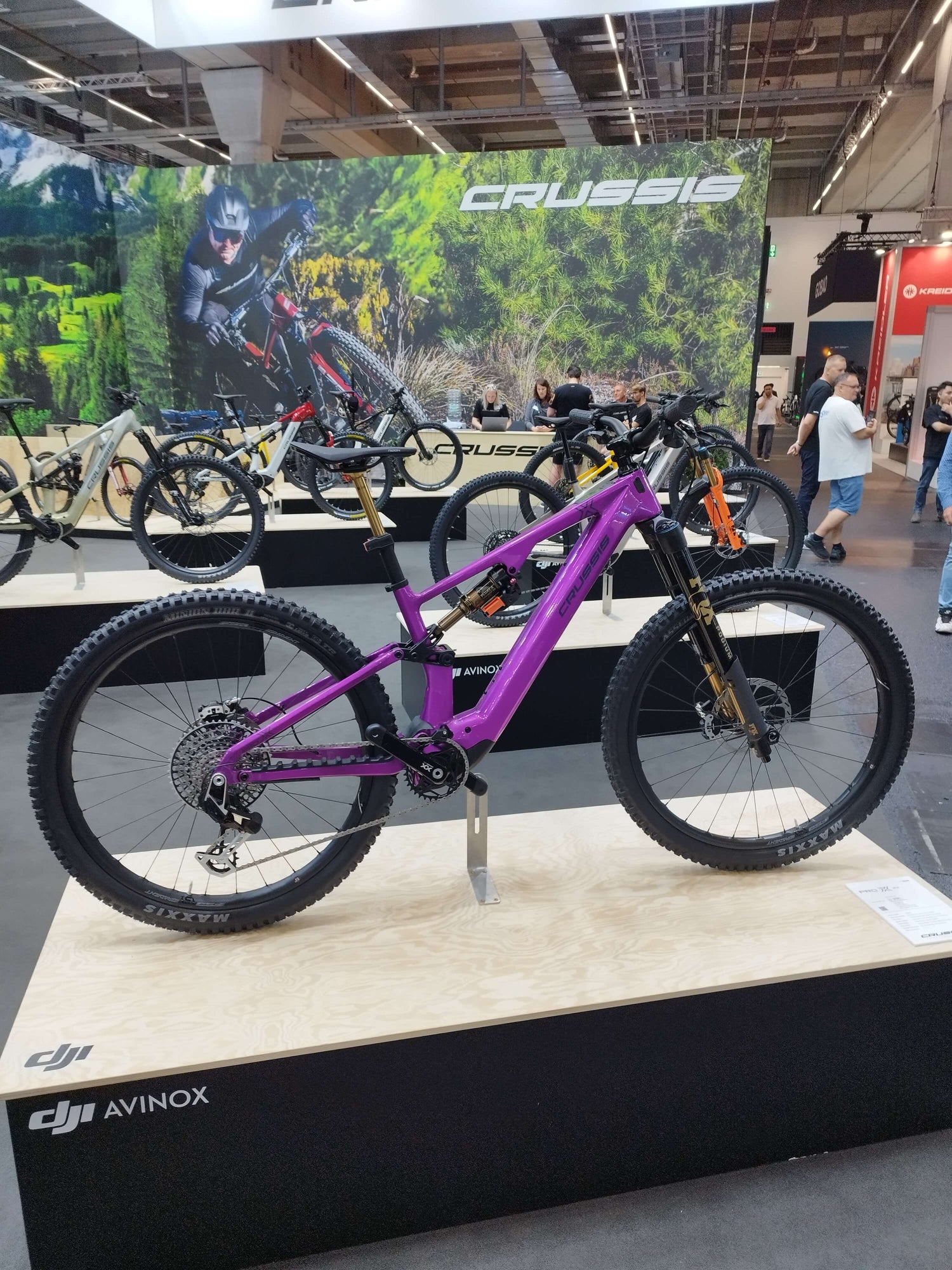 Ebike Trekking