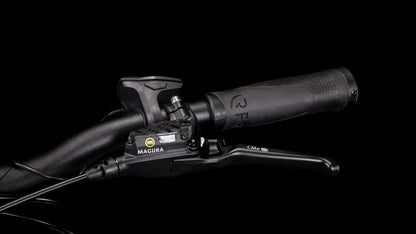 Cube Cargo Dual Hybrid 1000 2026