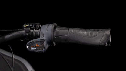 Cube Cargo Sport Hybrid (500WH)